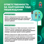 Медиапроект_Пешеходы