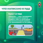 Медиапроект_Пешеходы