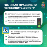 Медиапроект_Пешеходы